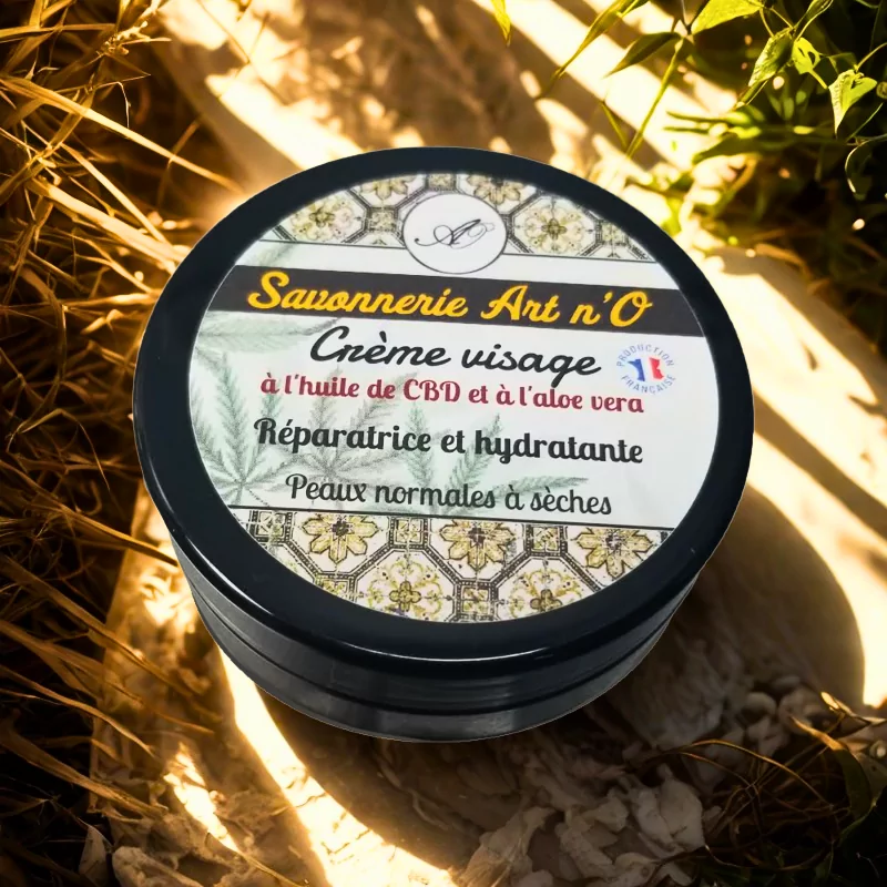 Crème visage biologique régénérante avec aloé vera, pot noir posé au sol dans un environnement végétal.
