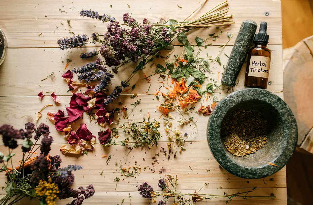 Assortiment de plantes séchées et herbes aromatiques sur planche en bois, pilon en pierre et flacon d’infusion/teinture Herbal Tincture.