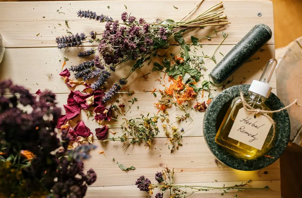 Mortier en pierre avec des plantes médicinales fraîches sur un plan de travail en bois rustique.