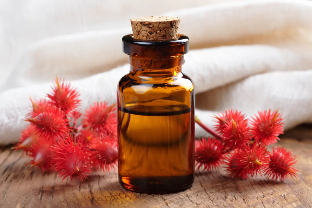 Huile de ricin naturelle avec graines